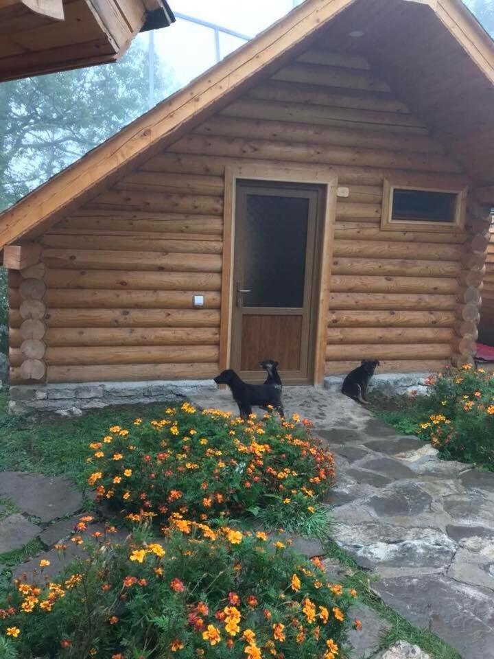 Harsnadzor Eco Resort Halidzor Buitenkant foto