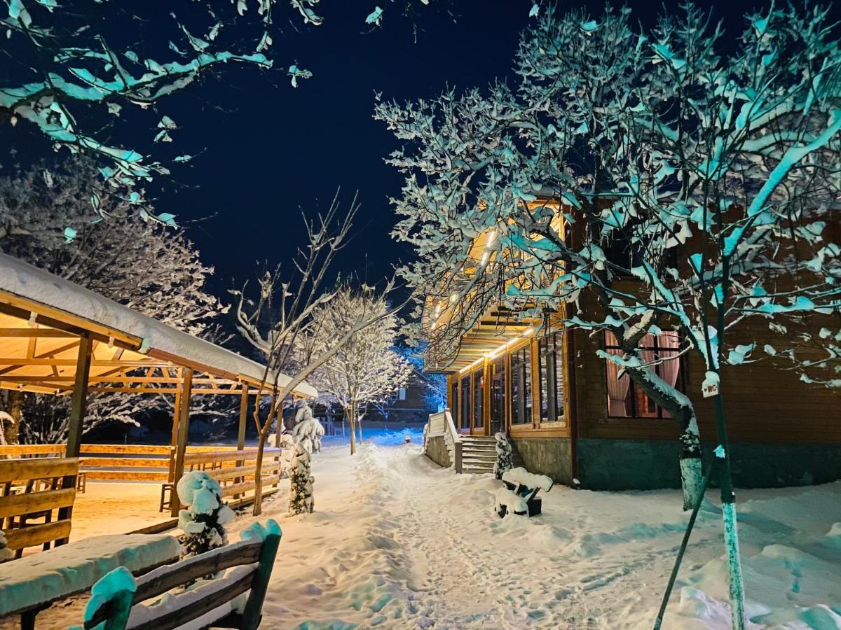 Harsnadzor Eco Resort Halidzor Buitenkant foto