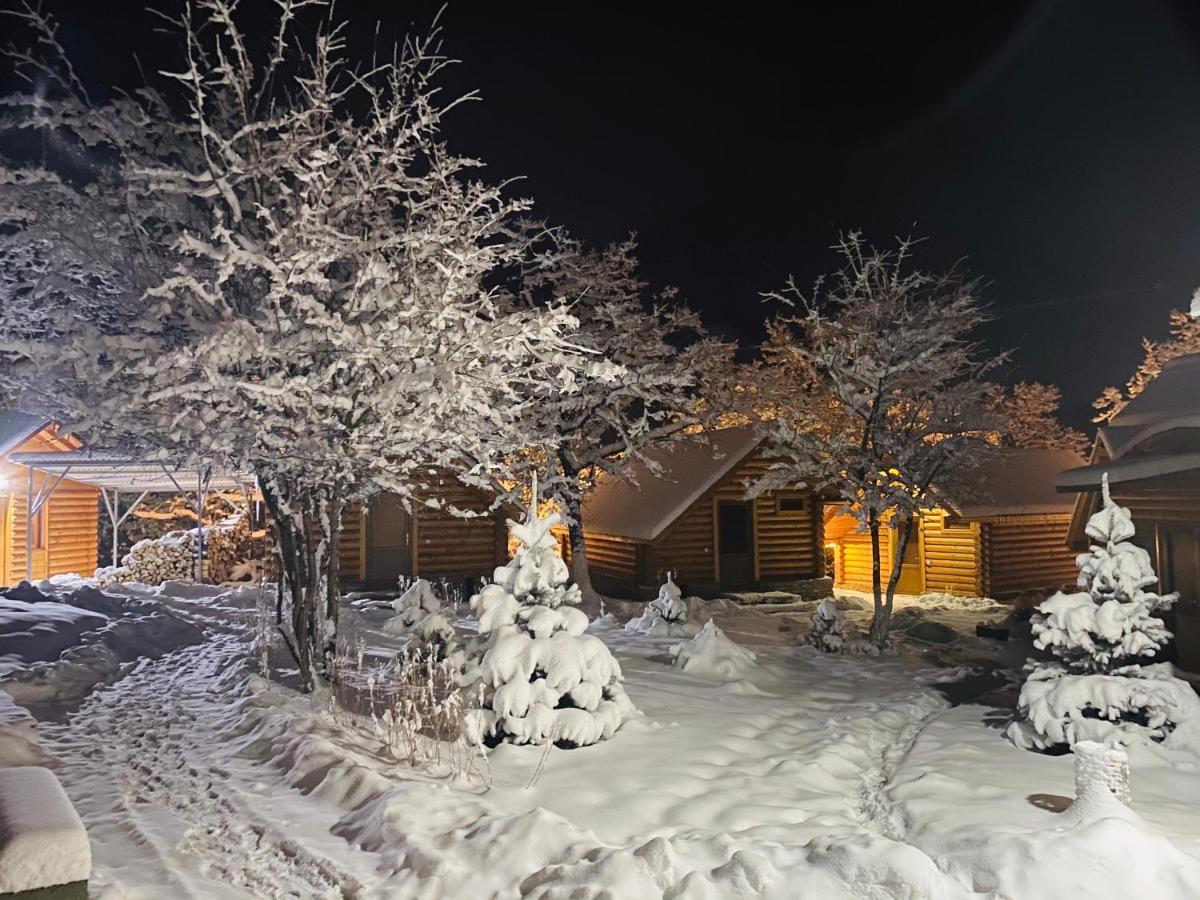 Harsnadzor Eco Resort Halidzor Buitenkant foto