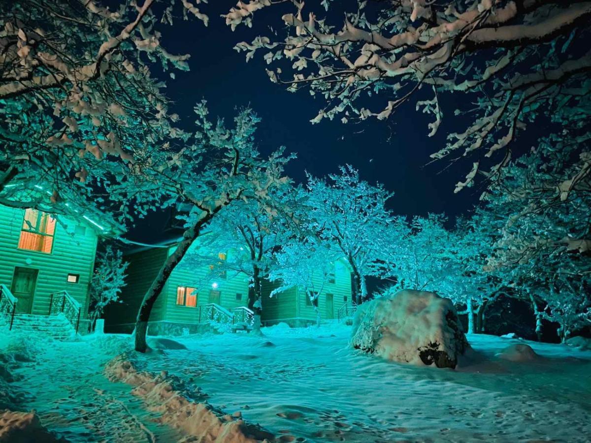 Harsnadzor Eco Resort Halidzor Buitenkant foto